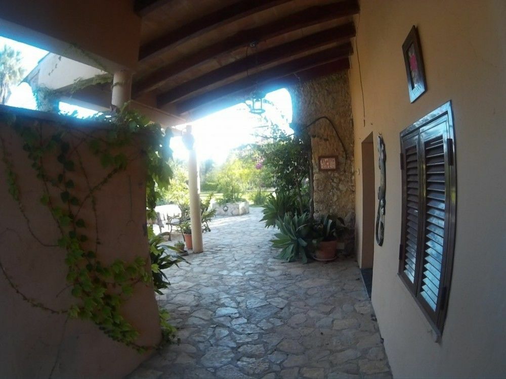 Roig Gran Alcudia (Mallorca)